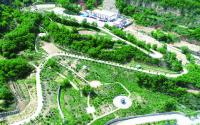 富县西山公园水土保持示范园勘测设计项目